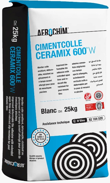 Ciment colle 600W C2 TE S1